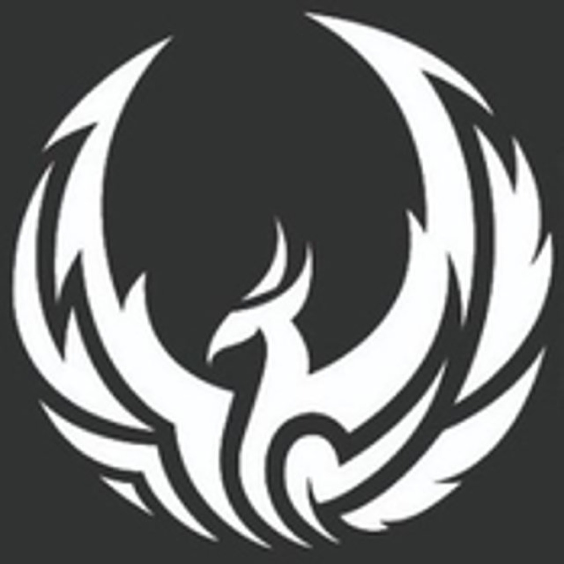 Radio Phoenix System