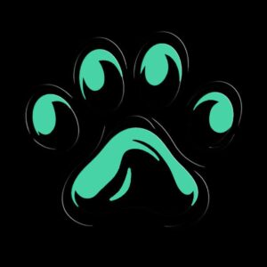 laut.fm – Real Sim Group