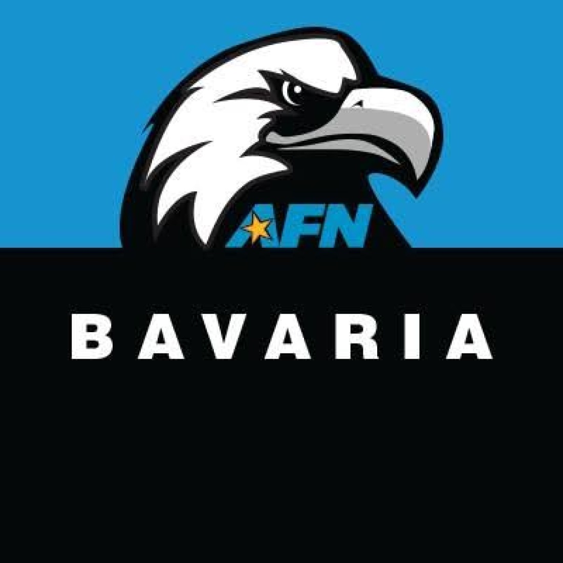 AFN Bavaria The Eagle