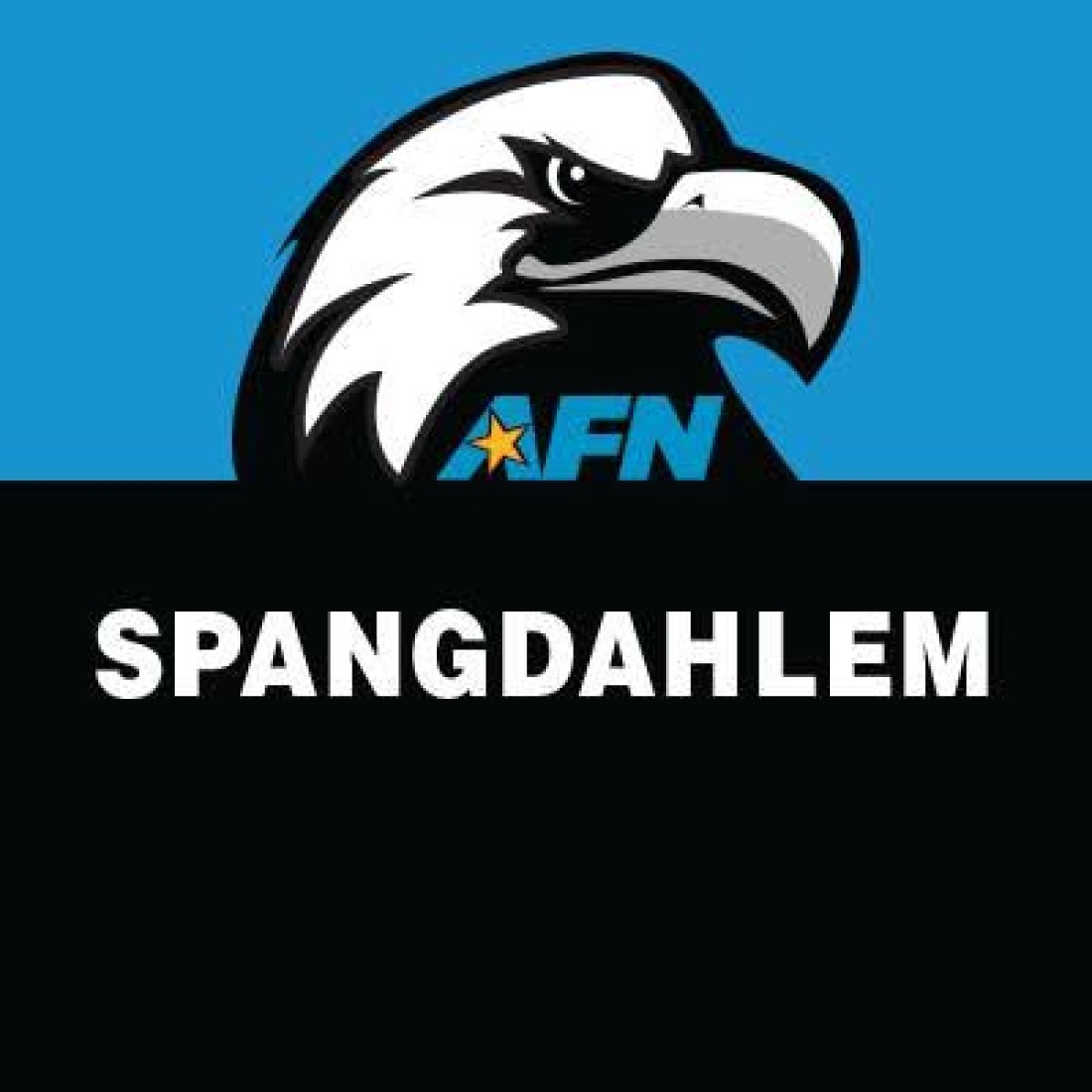 AFN Spangdahlem The Eagle