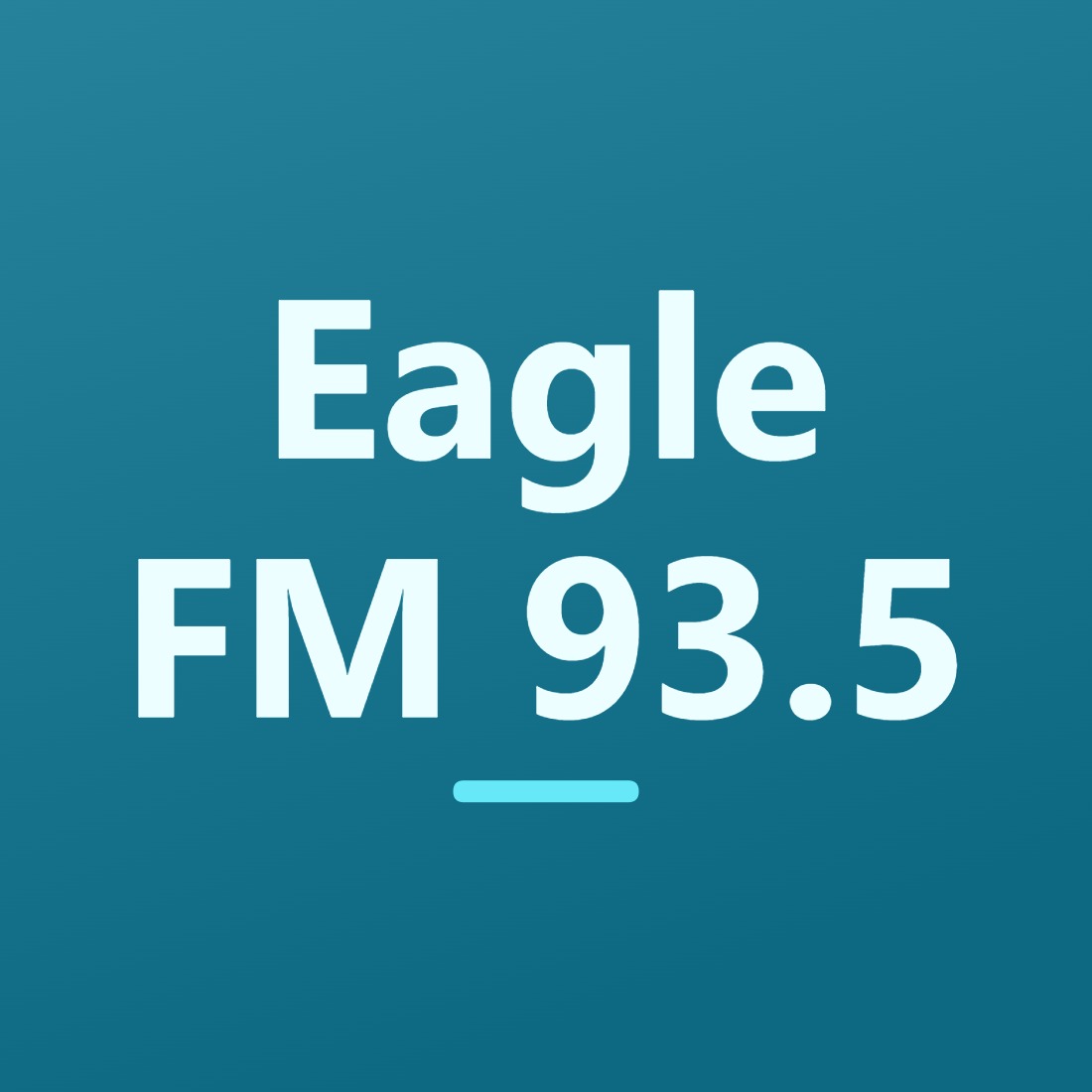 Eagle FM 93.5