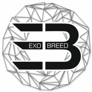 laut.fm – Exo Breed