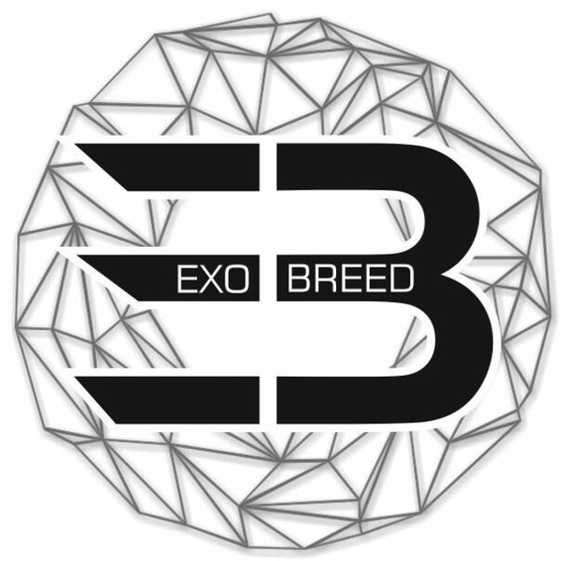 laut.fm – Exo Breed