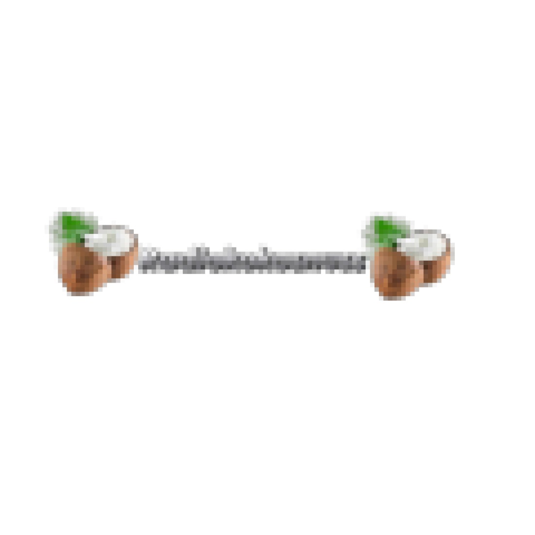 laut.fm – Radio Kokosnuss