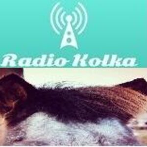 laut.fm – Radio Kolka