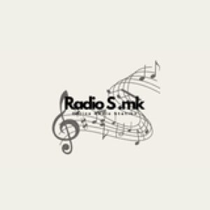 Radio S