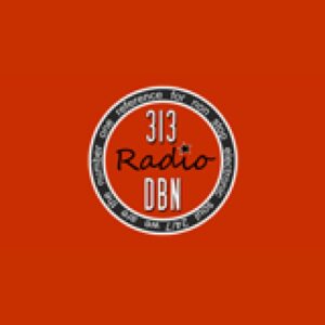 313 DBN Radio