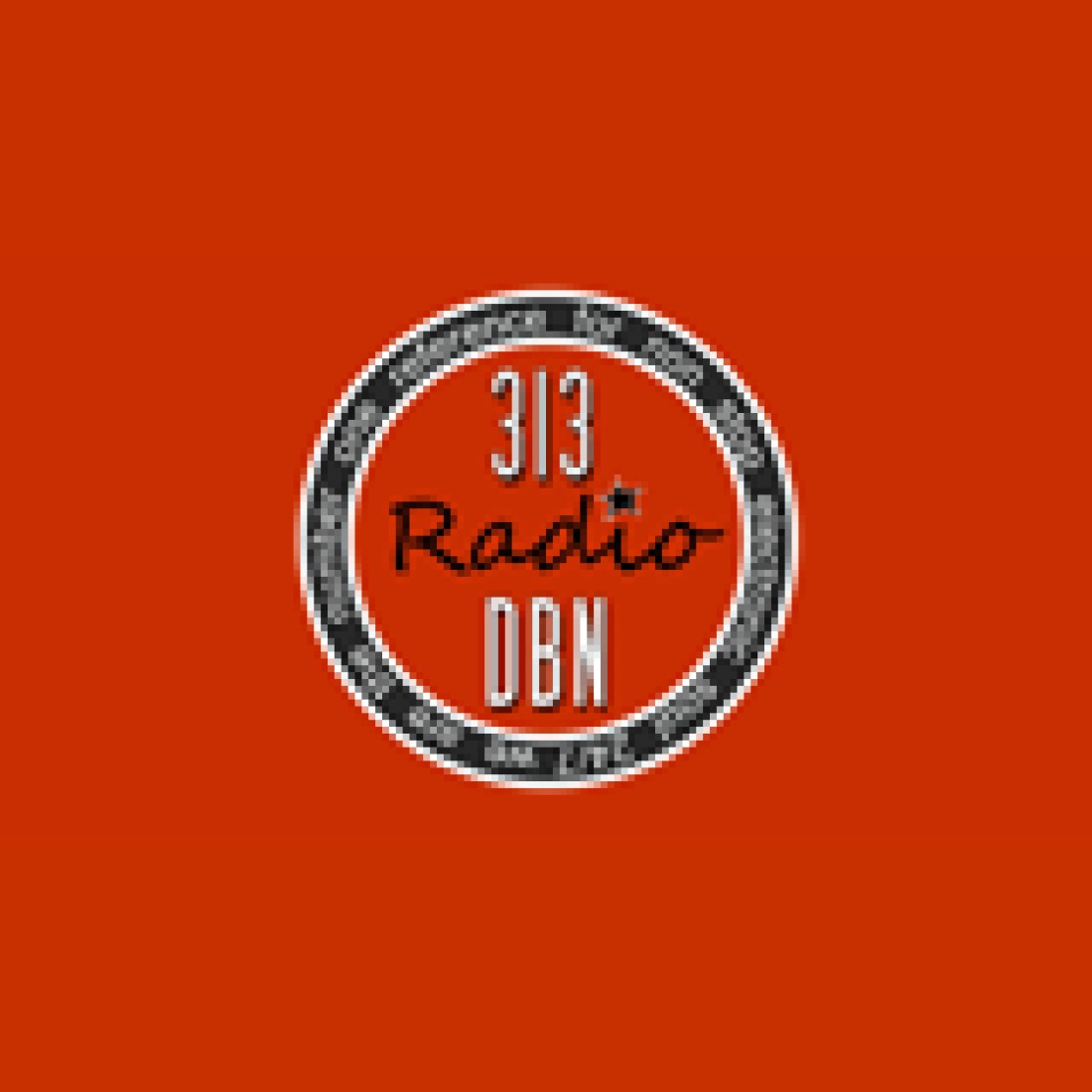 313 DBN Radio
