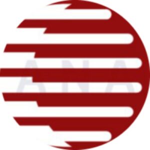 AMNews Radio