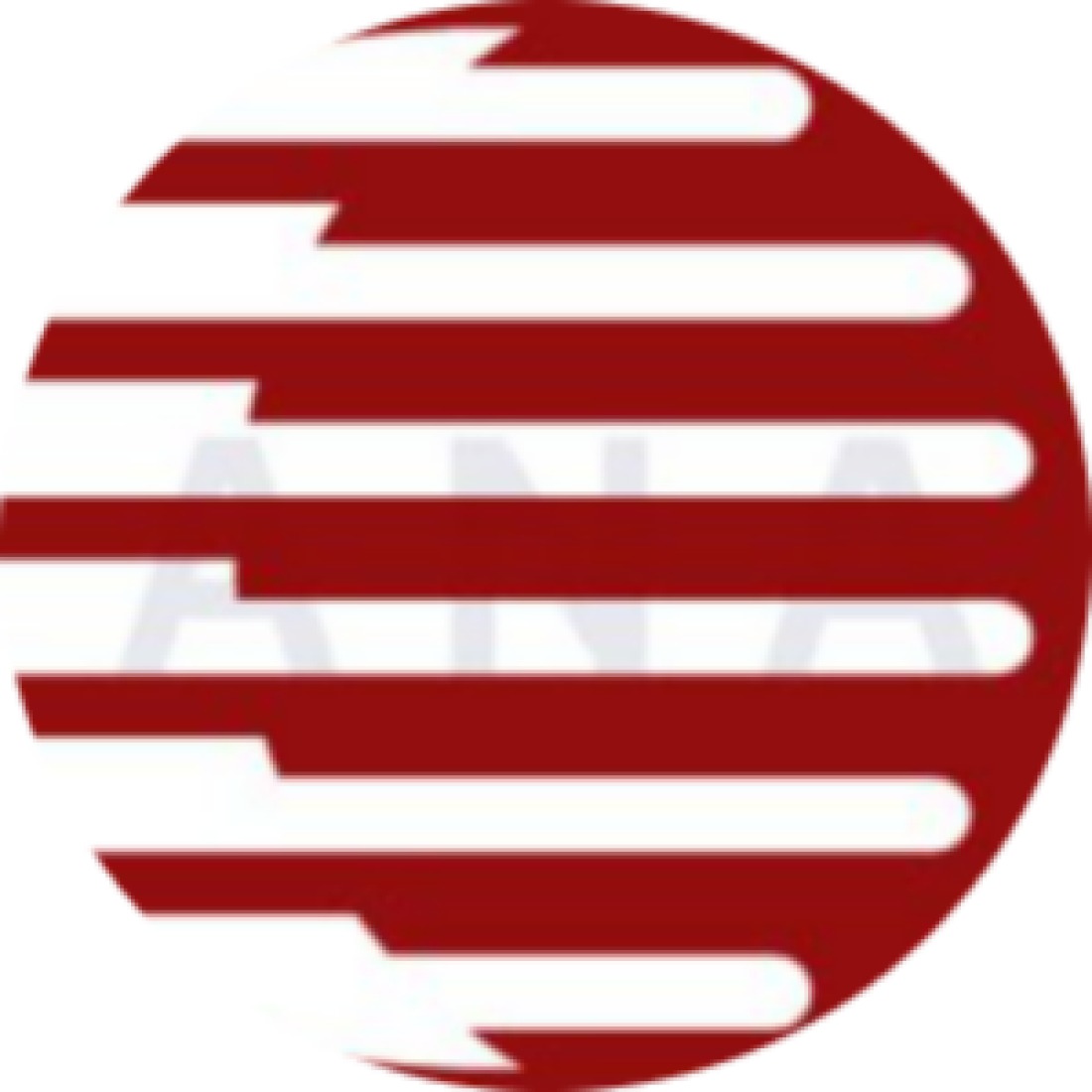 AMNews Radio