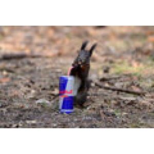 laut.fm – Flugarmy