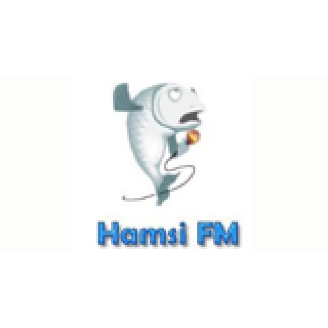 Hamsi FM