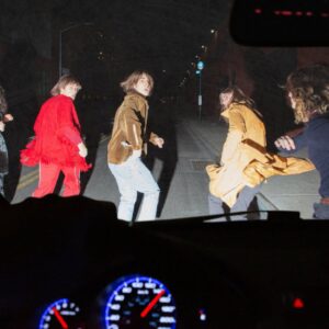 laut.fm – Geese Radio