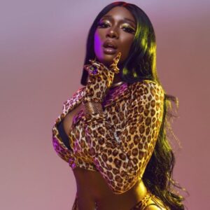 laut.fm – Megan Thee Stallion Radio