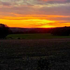 laut.fm – Michel