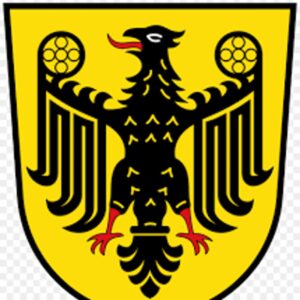 laut.fm - Partyalarm
