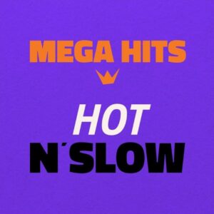 Mega Hits Hip Hop R&B