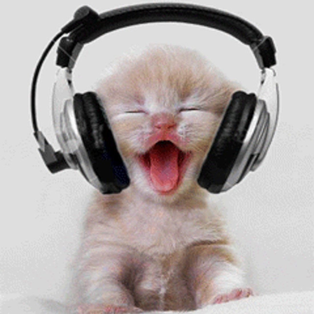 laut.fm – Power Of Dream